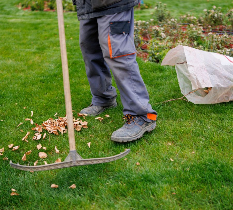 Tree service cleanup leaving residential property clean and safe