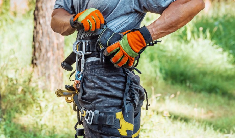 Arborist wearing professional climbing and safety equipment