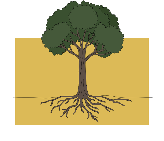 Deep root fertilization service