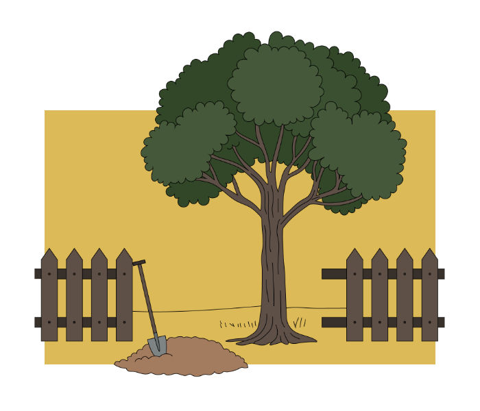 Tree removal for renovation and construction projects