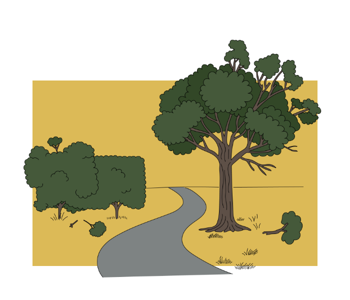 Tree pruning and trimming service
