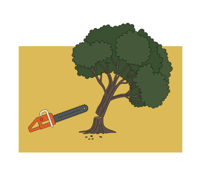 Tree removal service