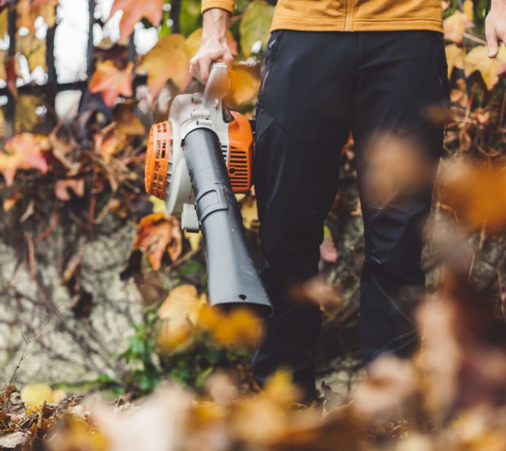 Clean up and tree maintenance performed to reduce winter storm damage risk