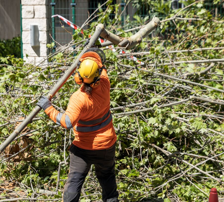 Arborist clearing storm-damaged branches from residential property