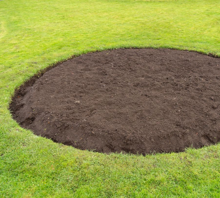 Freshly ground tree stump after professional stump grinding service